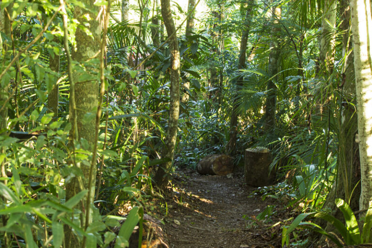 institucional-campus-estrutura-bosque-meditativo-02.jpg