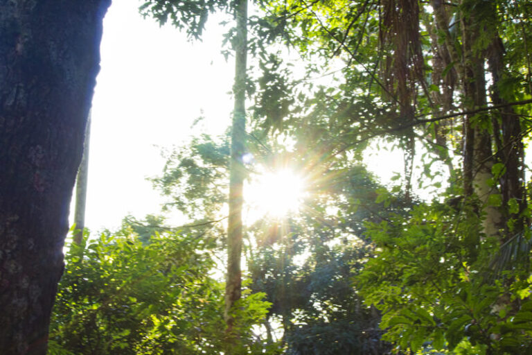 institucional-campus-estrutura-bosque-meditativo-04.jpg