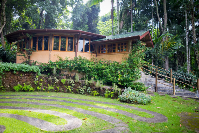 institucional-campus-estrutura-sala-da-mata-01.jpg