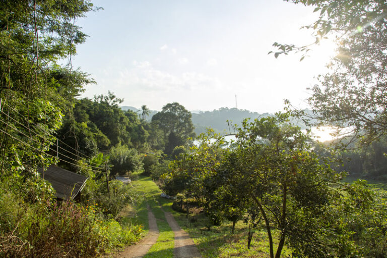 institucional-voluntariado-worldpackers-04.jpg