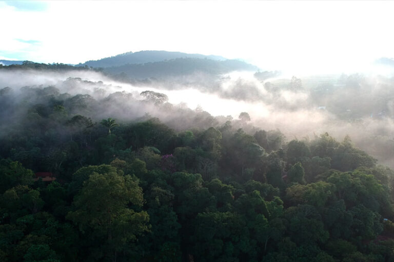 site-universidade-princípios-silêncio-04