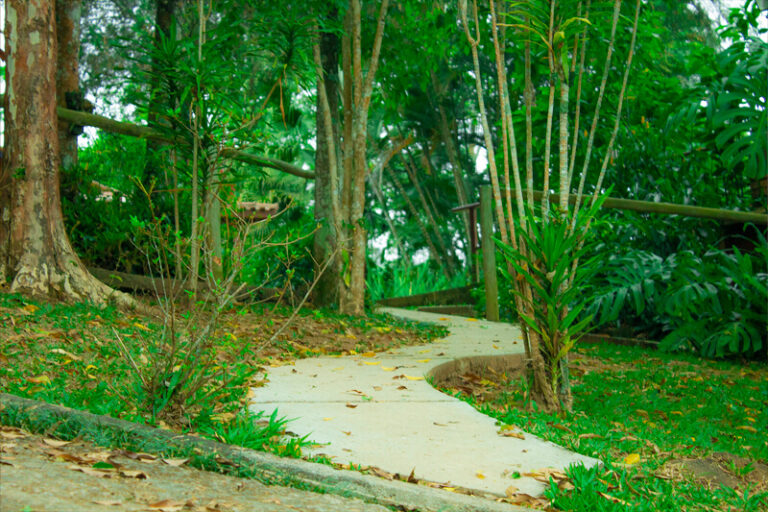 site-universidade-princípios-simplicidade-03