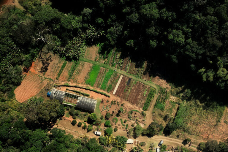 institucional-campus-estrutura-horta-10