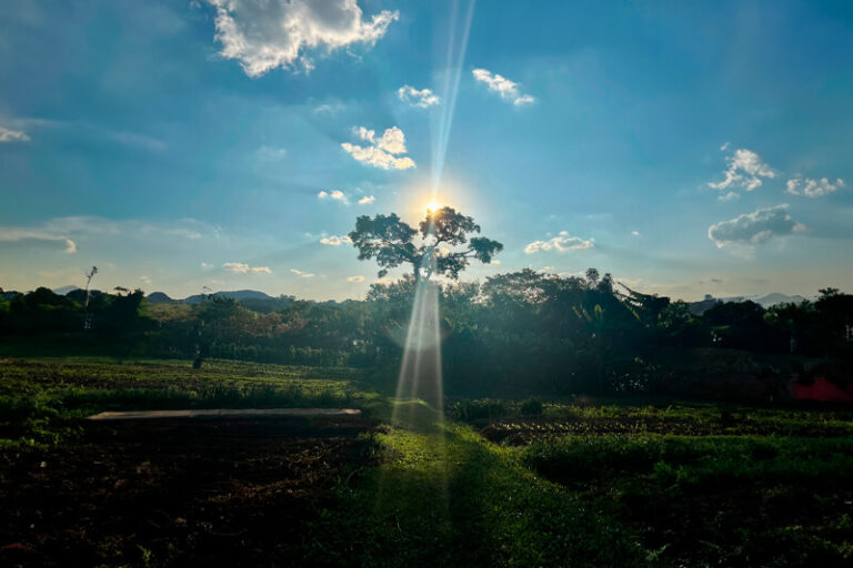 site-universidade-princípios-meditação-03