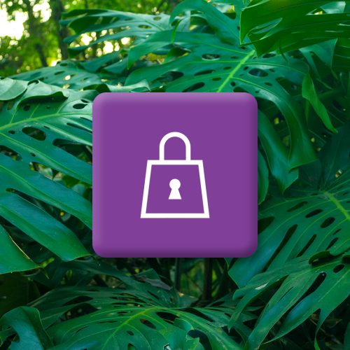 site-politica-de-privacidade