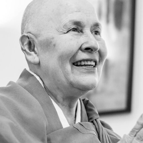 site-universidade-a-escola-zen-budista-e-o-zazen