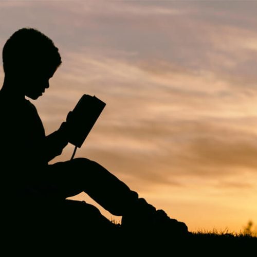 site-universidade-blog-papel-de-educação-para-paz
