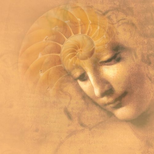 site-universidade-blog-transpessoal